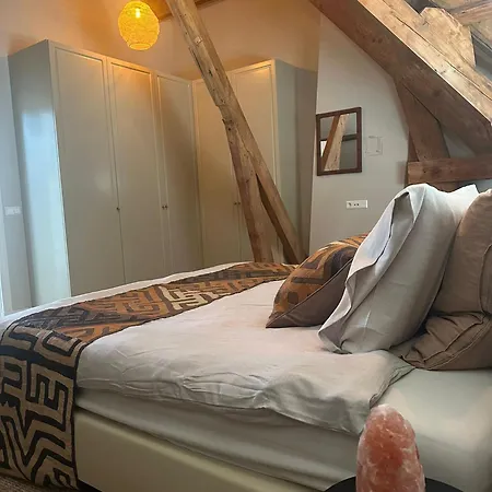 Cosy Close To The And Centre The Hague