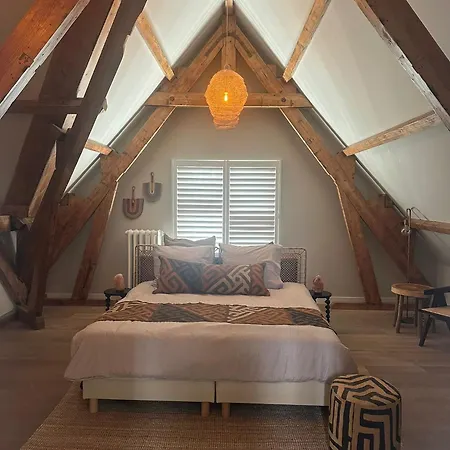 Cosy Close To The And Centre Hotel The Hague